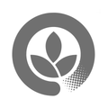 20 Pack - 21cm Wood Chopsticks IW in Paper Sleeve